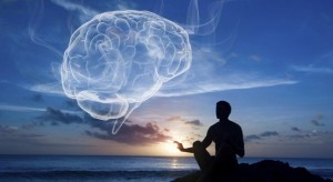 BrainHarvardMeditation-657x360